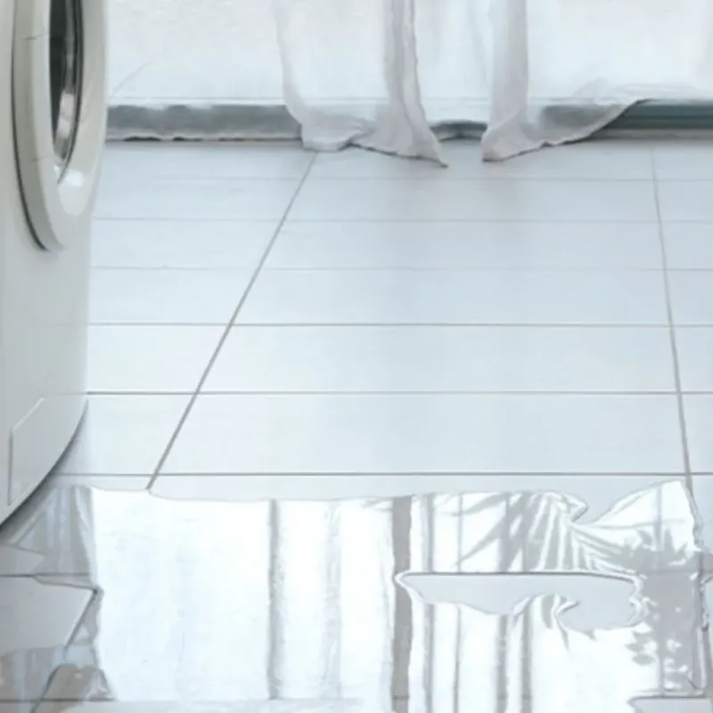 Appliance Leak Cleanup in Syracuse, KS