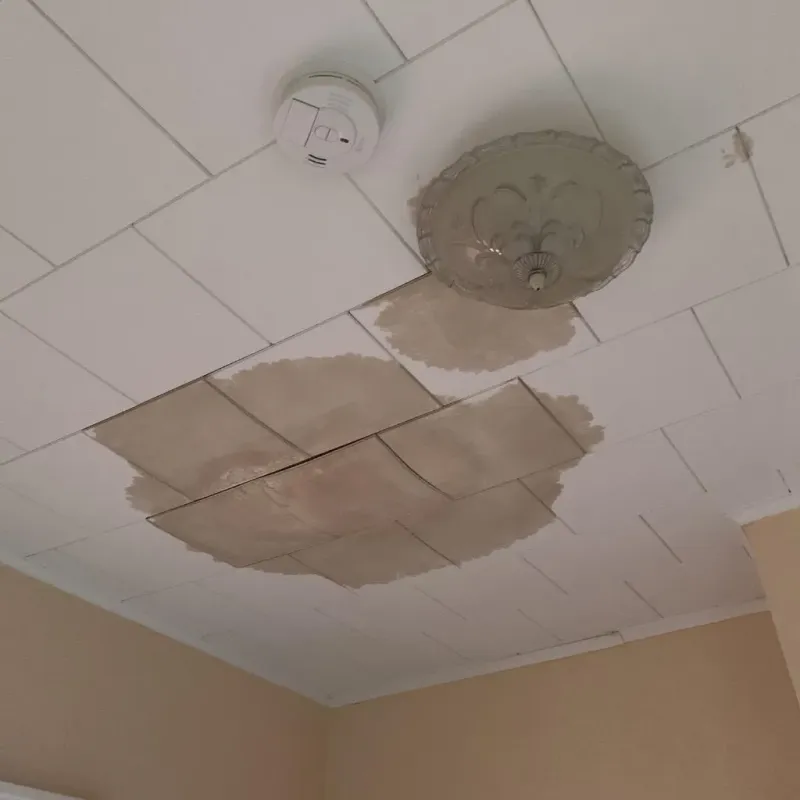 Ceiling Water Damage Repair in Syracuse, KS