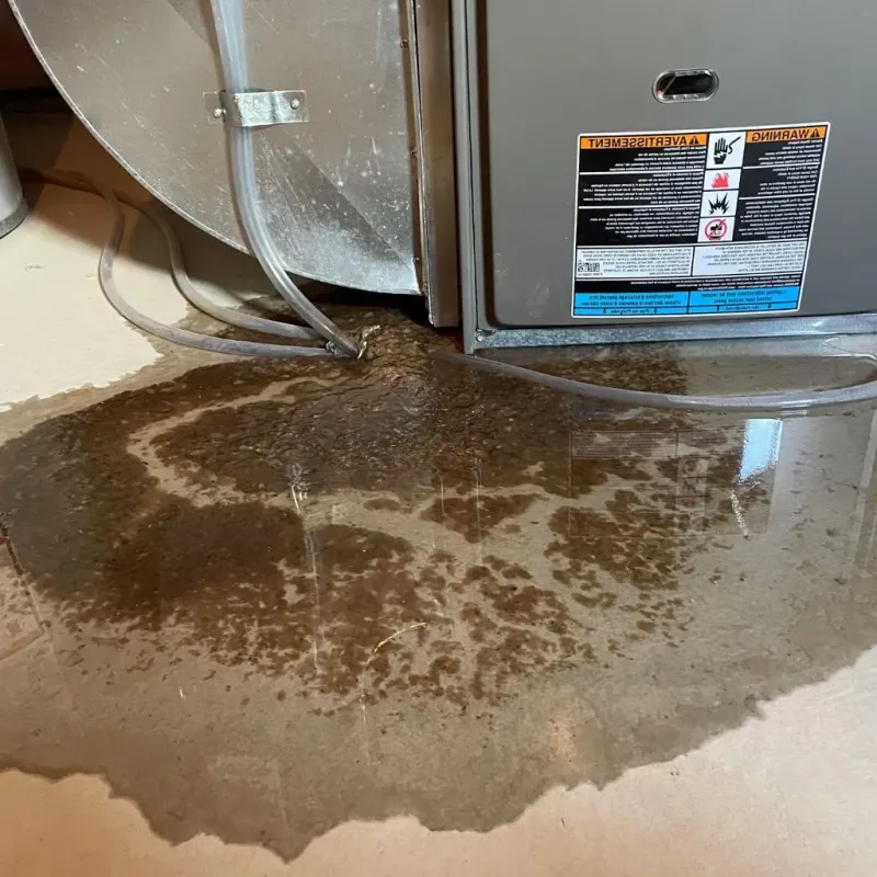 Pipe Burst and Leak Restoration in Syracuse, KS