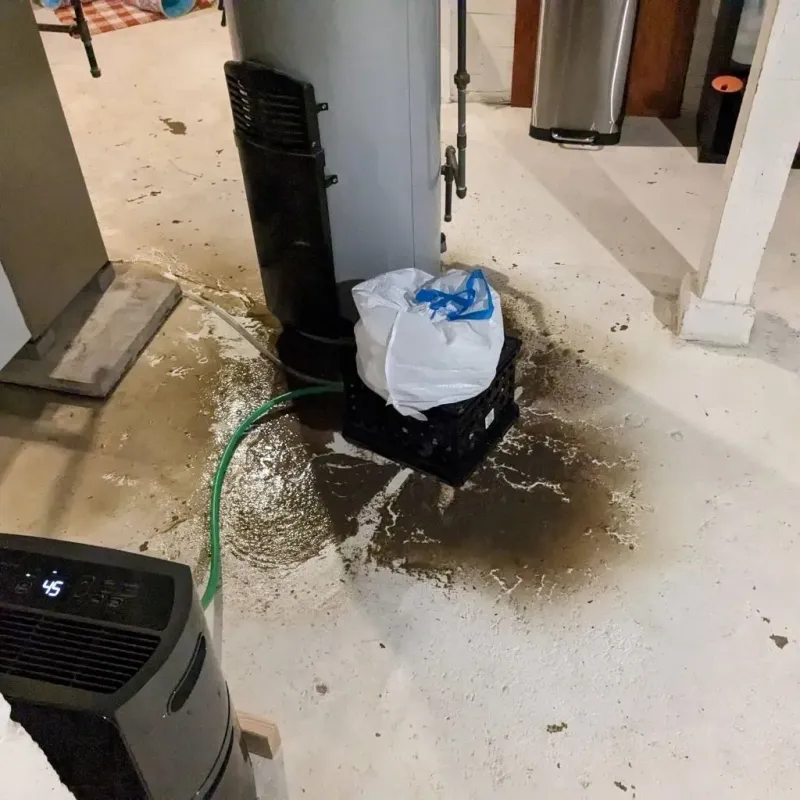 Sewage Backup Cleanup Service in Syracuse, KS
